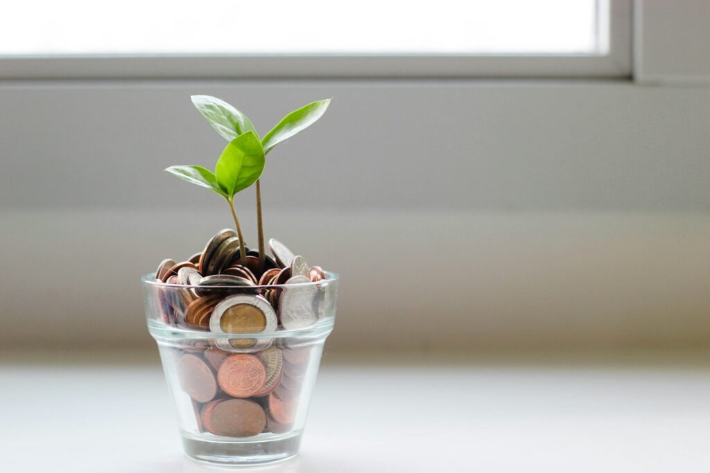 green plant in clear glass cup filled with money